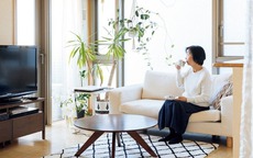 Nghỉ hưu, cụ bà trông cháu giúp con trai, được đưa đi du lịch: Sau bữa trưa cay đắng bà lặng lẽ mua vé về quê