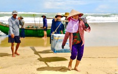 Ngư dân Quảng Ngãi vượt sóng dữ săn "lộc biển" mùa biển động