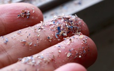 Cách loại bỏ hạt vi nhựa trong thực phẩm, người Việt nên làm càng sớm càng tốt