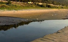 Xả nước đen bốc mùi ra biển Mũi Né, Khu du lịch Asteria bị phạt 50 triệu đồng