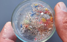 1 loại đồ uống chứa nhiều hạt vi nhựa gấp nhiều lần, nhưng giới trẻ Việt lại thích mê