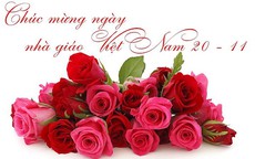 Những lời chúc hay, ý nghĩa chúc mừng ngày Nhà giáo Việt Nam 20/11