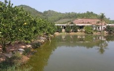 Lấp ao xây nhà là tốt?