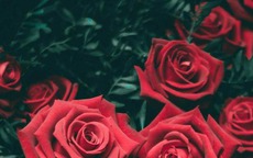 Tháng sinh Âm lịch của người có hậu vận vững chắc, tài lộc đầy nhà