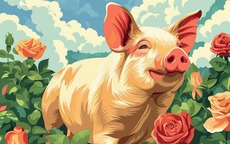 Top con giáp nữ có mệnh thiếu phu nhân: Càng trưởng thành càng giàu sang