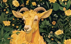 Các con giáp luôn cho mình đúng, không nghe ai khuyên, khó hợp tác nổi