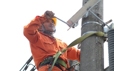 Lịch cúp điện TP. Cần Thơ từ ngày 26-30/11/2025: Cái Răng, Thốt Nốt, Bình Thủy và nhiều khu vực thuộc diện bị cúp điện trong tuần