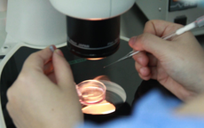 Bác sĩ Việt giúp người đàn ông Mỹ 70 tuổi triệt sản lâu năm có con