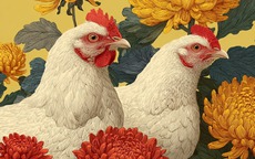 3 con giáp có sức hấp dẫn trời sinh: Không cần cố vẫn khiến bao người mê mẩn