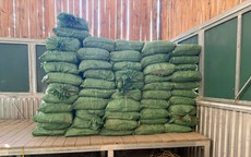 Phát hiện 2,4 tấn nguyên liệu thuốc lá không rõ nguồn gốc ở Cao Bằng