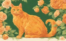 Dự báo biến đổi con giáp Mão tháng 10 âm lịch 2025: Cơ hội và thách thức