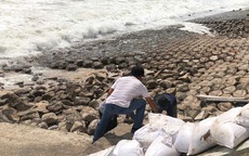 Kè biển Mũi Né sạt lở nghiêm trọng, kiến nghị công bố tình huống khẩn cấp