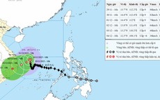 Áp thấp nhiệt đới dị thường đã tan trên biển, bão số 15 vẫn giật cấp 11