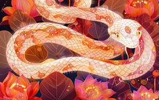 Dự báo những thay đổi của con giáp Thìn và con giáp Tỵ tháng 10 âm lịch 2025