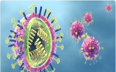 3 người trong 1 gia đình nhập viện vì cúm A: Bác sĩ chỉ rõ dấu hiệu báo bệnh và cách phòng ngừa biến chứng