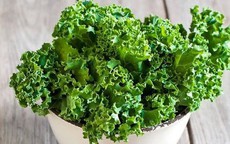 Những lọai thực phẩm tốt cho tuyến giáp giúp cải thiện sức khỏe hiệu quả