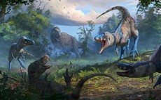 Loài quái vật chưa từng biết lộ mặt ở "Suối Địa Ngục"