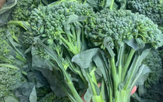 Top 5 loại rau cải phòng chống ung thư, tim mạch