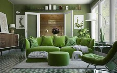 Phong thủy nhà ở cho người mệnh Mộc