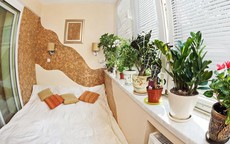 Người nào mất ngủ, hãy để ngay loại cây này trong phòng ngủ