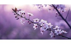 Giờ sinh Âm lịch quyết định vận mệnh: 5 khung giờ đưa chủ nhân vào nhóm vượng lộc