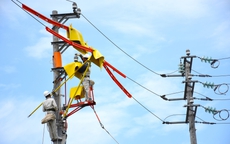 Lịch cúp điện Vĩnh Long (Trà Vinh cũ) tuần này (từ 10 – 14/12/2025): Số lượng khu dân cư bị cúp điện tăng cao