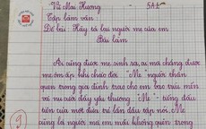 Bài văn tả mẹ đạt 9 điểm gây 'sốt' mạng, tinh tế nhất là lời phê của giáo viên