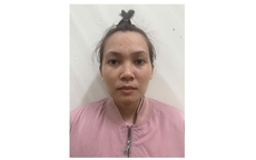 Nhập vai Việt Kiều giàu có, lừa đảo chiếm đoạt hàng trăm triệu đồng