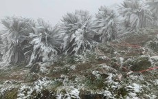 Thông tin mới nhất về đợt không khí lạnh mạnh đang gây rét buốt ở miền Bắc: Rét đậm, rét hại sẽ tăng cường liên tiếp tới cuối tháng 12