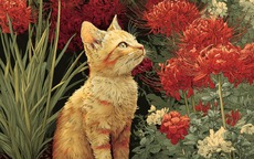 Những con giáp nữ luôn tỏ ra mạnh mẽ nhưng trái tim lại mong manh