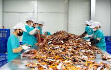 Khám phá quy trình sản xuất chất lượng của thương hiệu 'Ăn Cùng Bà Tuyết'