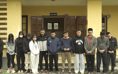 Bắt giữ nhóm lừa đảo gần 1.000 tỷ đồng khi vừa nhập cảnh về Việt Nam