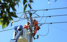 Lịch cúp điện An Giang (Kiên Giang cũ) từ ngày 17 – 21/12/2025: Nhiều khu dân cư cả ngày không có điện để dùng