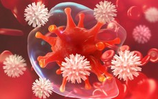 Tế bào ung thư sợ gì nhất? Hóa ra lại là việc mà nhiều người Việt thường bỏ qua