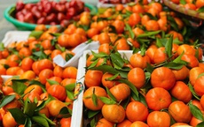 Tiểu thương bật mí bí kíp chọn cam canh chuẩn hàng Việt, nhìn đặc điểm này là biết ngay