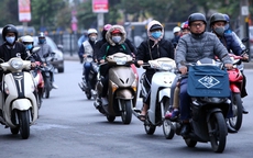 Tin sáng 21/12: Miền Bắc chuyển mưa rét dịp Noel; 'Báu vật' trong Sách Đỏ quý hiếm bậc nhất Việt Nam xuất hiện trong đêm ở khu rừng lớn nhất xứ Nghệ