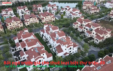 Hà Nội: Bất ngờ trước giá cho thuê loạt biệt thự triệu đô tại các xã Hoài Đức, An Khánh, Dương Hoà và Sơn Đồng