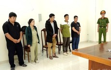 Khánh Hòa: Khởi tố 5 đối tượng liên quan vụ người đàn ông tử vong trên đường dây điện trung thế