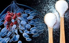 Tế bào ung thư 'thích' gì nhất? Hiểu đúng để phòng bệnh từ trong bữa cơm nhà bạn