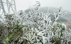 Miền Bắc còn rét đậm, băng giá?