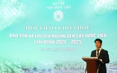 Bảo tồn nguồn gene cây dược liệu góp phần chăm sóc sức khỏe và phát triển kinh tế