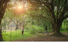 Trí nhớ của Bách đã trở lại nhưng Tú đã quyết tâm từ bỏ mối tình đơn phương