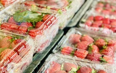 Dâu tây tràn ngập chợ Việt: Tiểu thương hé lộ nguồn gốc thật khiến nhiều người giật mình