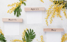 Những tháng sinh có thể giúp chủ nhân dễ leo lên vị trí CEO