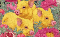 Tử vi tuổi Hợi 2026: Một năm Tam Tai nhiều thử thách, hung cát đan xen