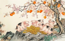 Cách hóa giải vận hạn cho tuổi Hợi năm 2026: Bình tâm vượt hạn, tích phúc đổi vận