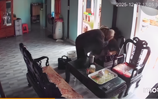 Cụ bà U90 giận dỗi được chồng thơm má khiến giới trẻ hâm mộ 'phát cuồng'