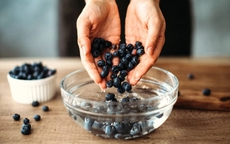 Mẹo bảo quản việt quất tươi lâu, ngừa nấm mốc