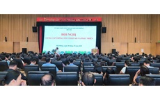 6 sự kiện nổi bật của công tác dân số và trẻ em thành phố Hải Phòng năm 2025