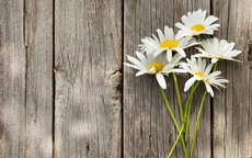 Số cuối ngày sinh Âm lịch của người sống tinh tế và biết yêu bản thân